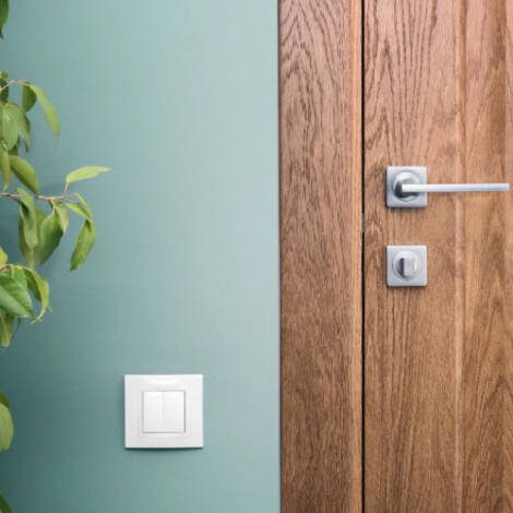 WOODEN VENEER DOOR FEATURES